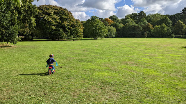 Our little lad on his balance bike in a green field looking at the distant woods.